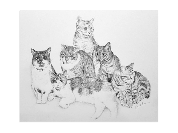 Pet cats pencil portrait, made from six separate photos